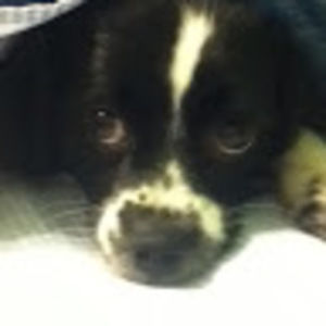 Meet your Posher, Jan